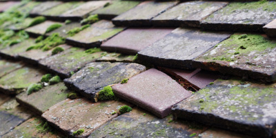 Pentrefelin roof repair costs